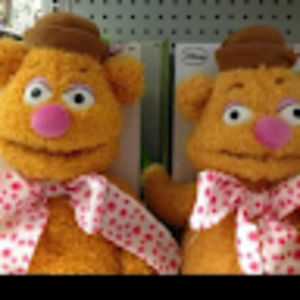 Meet your Posher, Phyllis